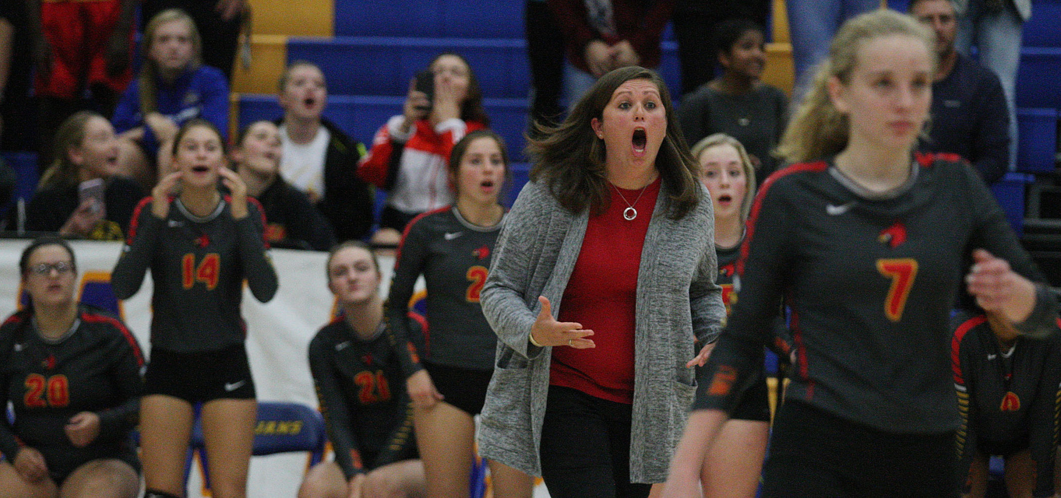 AO vs WL volleyball 26 10.23.17.jpg